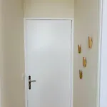 Warm & Wood