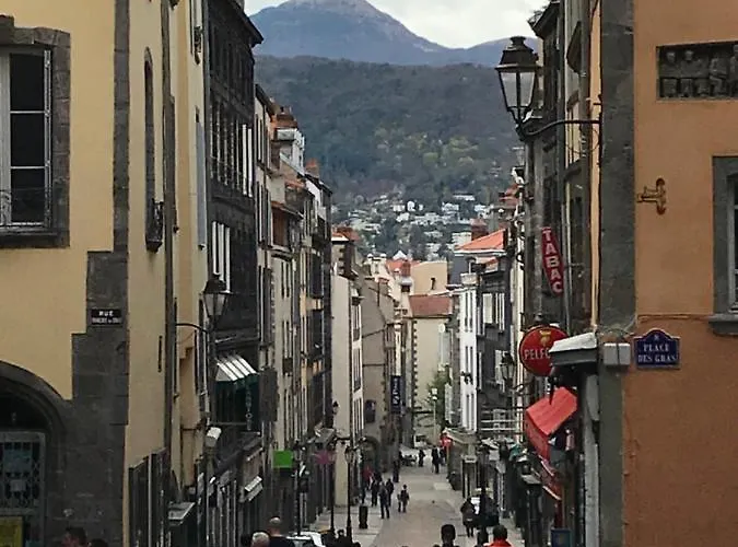 Warm & Wood Apartment Clermont-Ferrand
